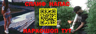 индика Ирбит