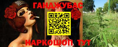 индика Ирбит