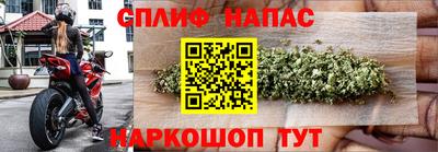 индика Ирбит
