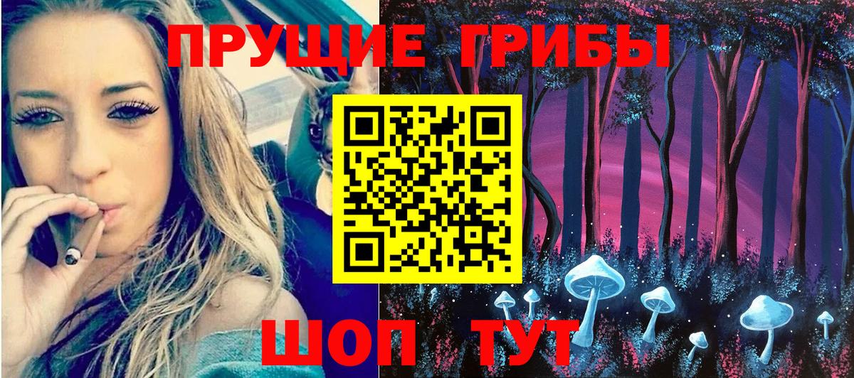 Псилоцибиновые грибы Cubensis Дальнегорск