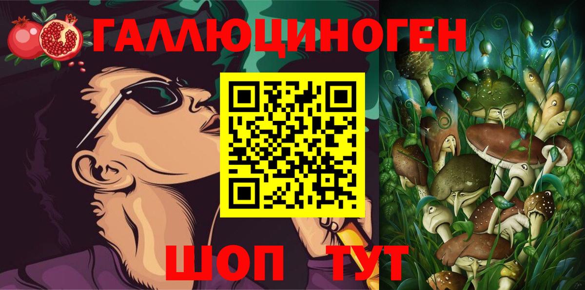 закладка  Вход с VPN  Дальнегорск  Псилоцибиновые грибы Magic Shrooms 